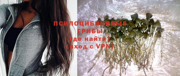 меф Арсеньев
